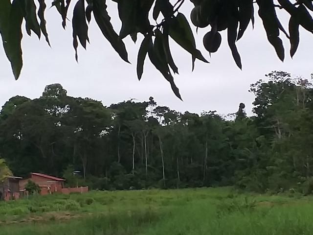 Terreno 35×150 kM06 R:SANTA HELEA B:AMAPÁ