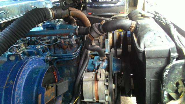 Ford F1000 83 - Foto 10