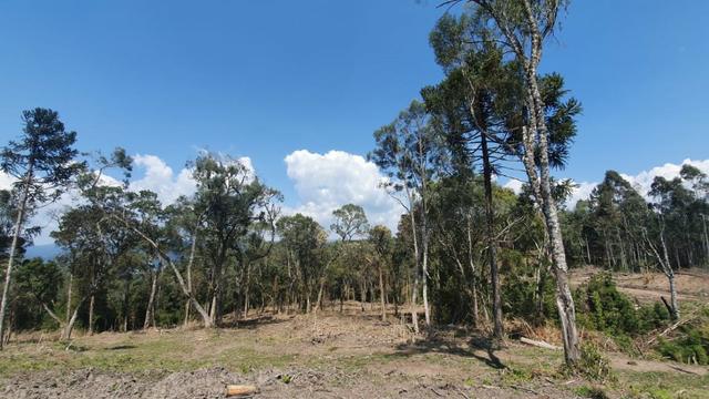 Sitio em Urubici / chácara em Urubici /próximo a Rio Rufino - Foto 4