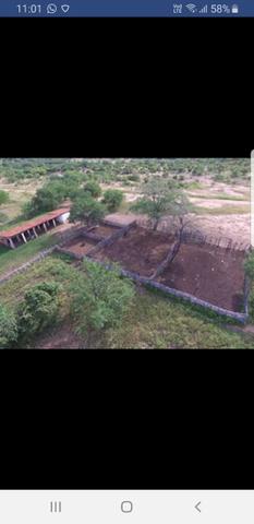 Fazenda - Foto 10