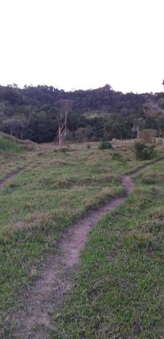 Sitio de 9.7 alk pra pasto vendo - Foto 5