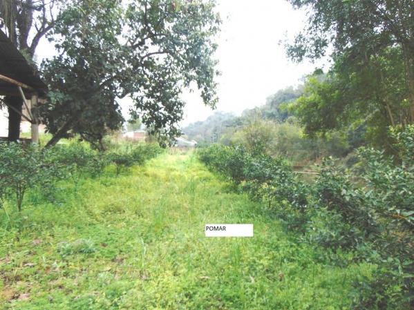 Chácara em Santos Reis em Montenegro - 10 - Foto 18