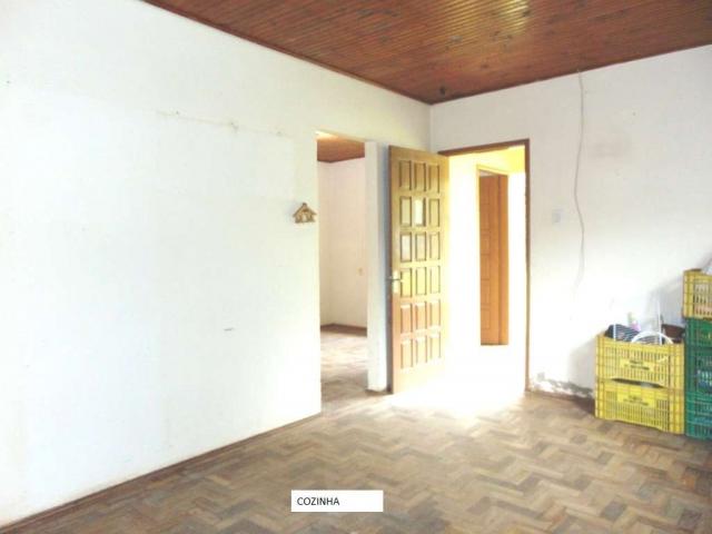 Chácara em Santos Reis em Montenegro - 10 - Foto 11