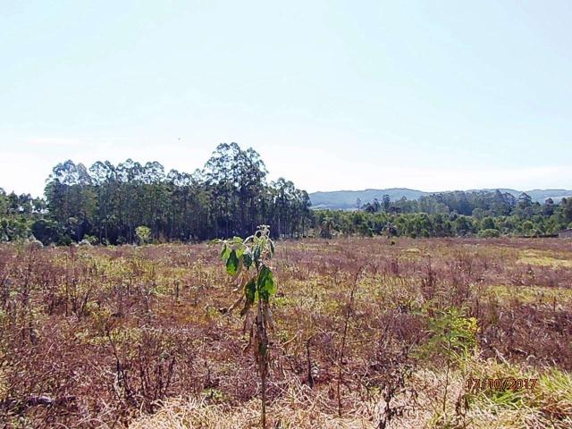 Chácara c/5,1 ha, Bom Jardim - Montenegro - 36 - Foto 14