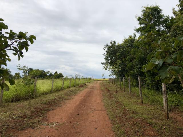 Ótima chácara em Bela Vista de Goiás - Foto 12
