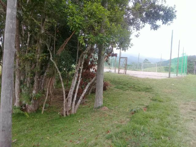 Lindo sitio Imaruí figueira grande - Foto 2