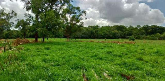 Chácara de 20mil Mt à venda a 80 km de Goiânia - Foto 6