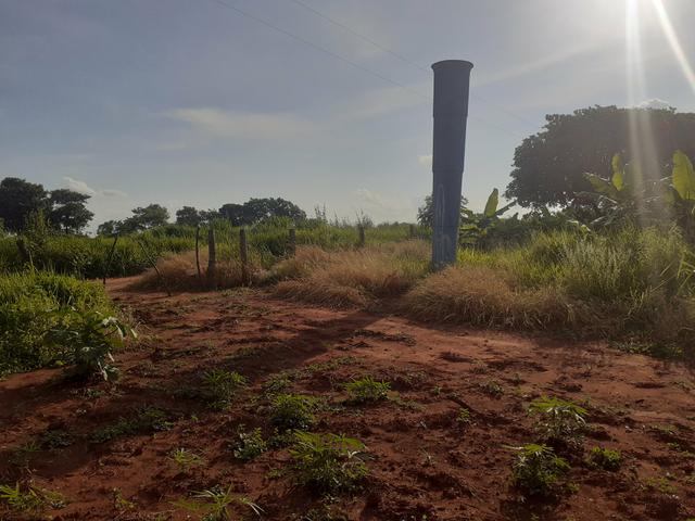 Chácara 6 hectares - Foto 2