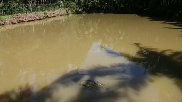 Otima Oportunidade - Foto 7