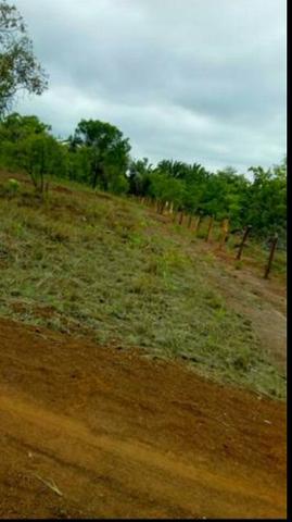 Vendo 2 e meio alqueires de terra, entre Wanderlandia e Babaçulandia