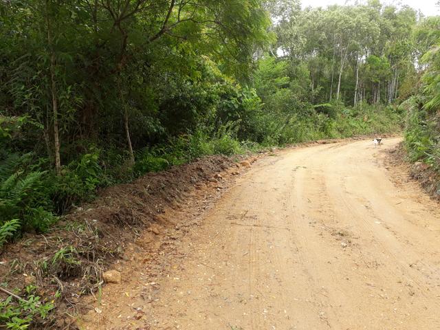 VENDO LINDA CHÁCRINHA DE 2.000m2° NA REPRESA DO CAPIVARI !!! - Foto 13