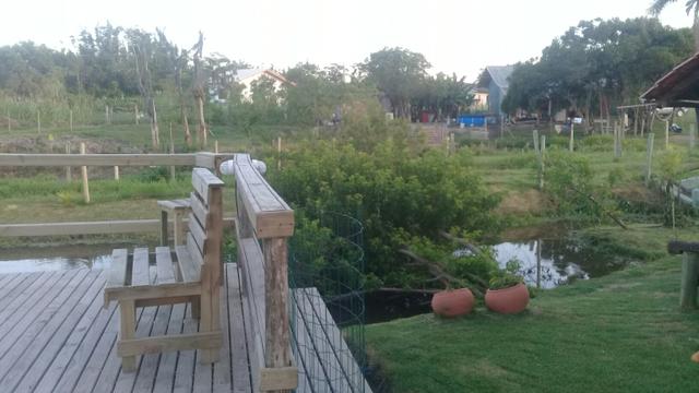 Lindo sitio Imaruí figueira grande - Foto 13