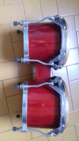 Bongo