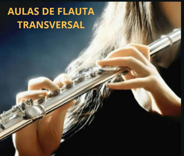 AULA DE FLAUTA TRANSVERSAL ( A DOMICÍLIO)