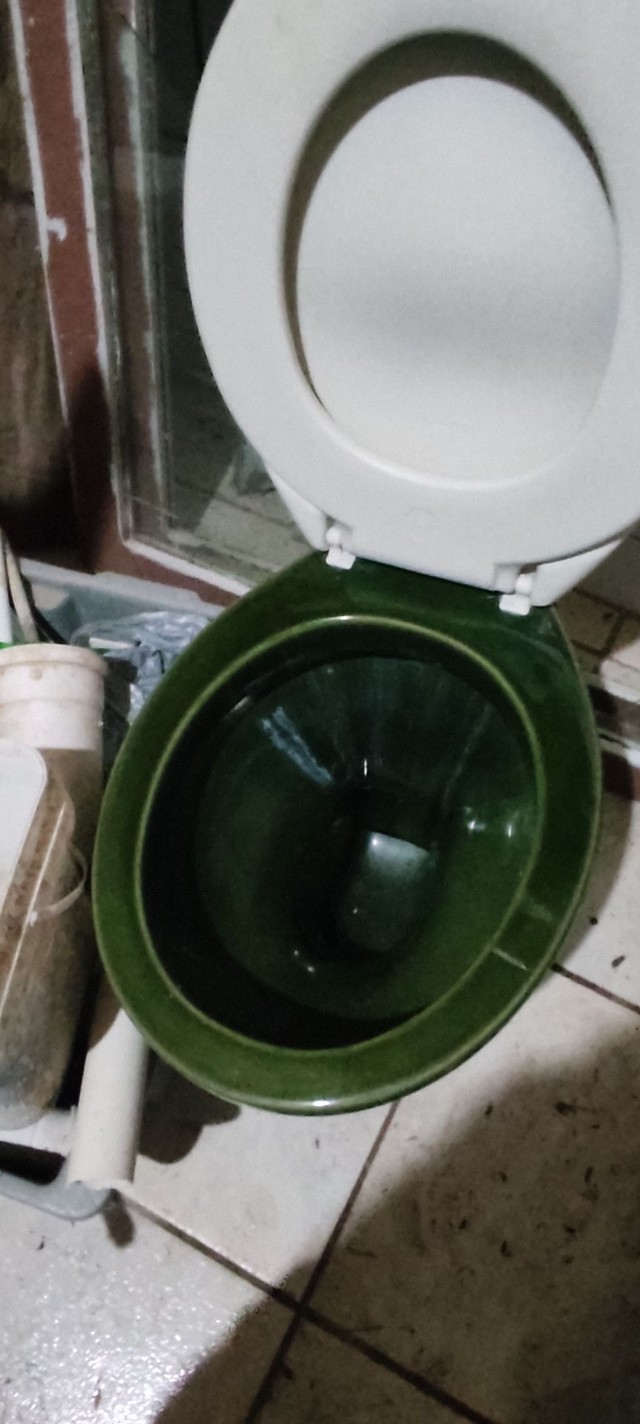 Vaso sanitário verde musgo