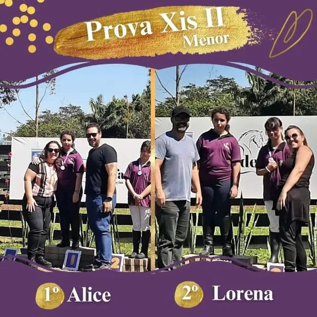 Aulas de Equitação Hipismo Montaria Passeio a Cavalo Hotelaria Equoterapia - Foto 3