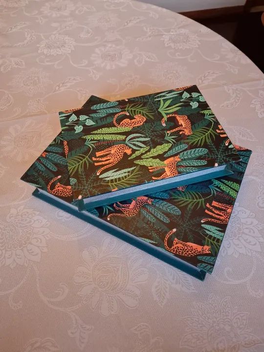 Dupla de caixas decorativas novas tipo livro da Westwing 