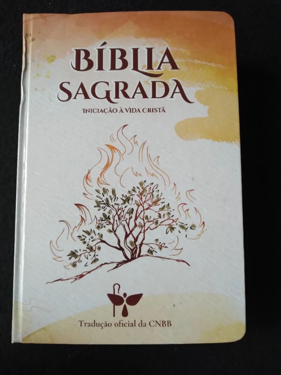 Livro, Bíblia  Sagrada  - Foto 6