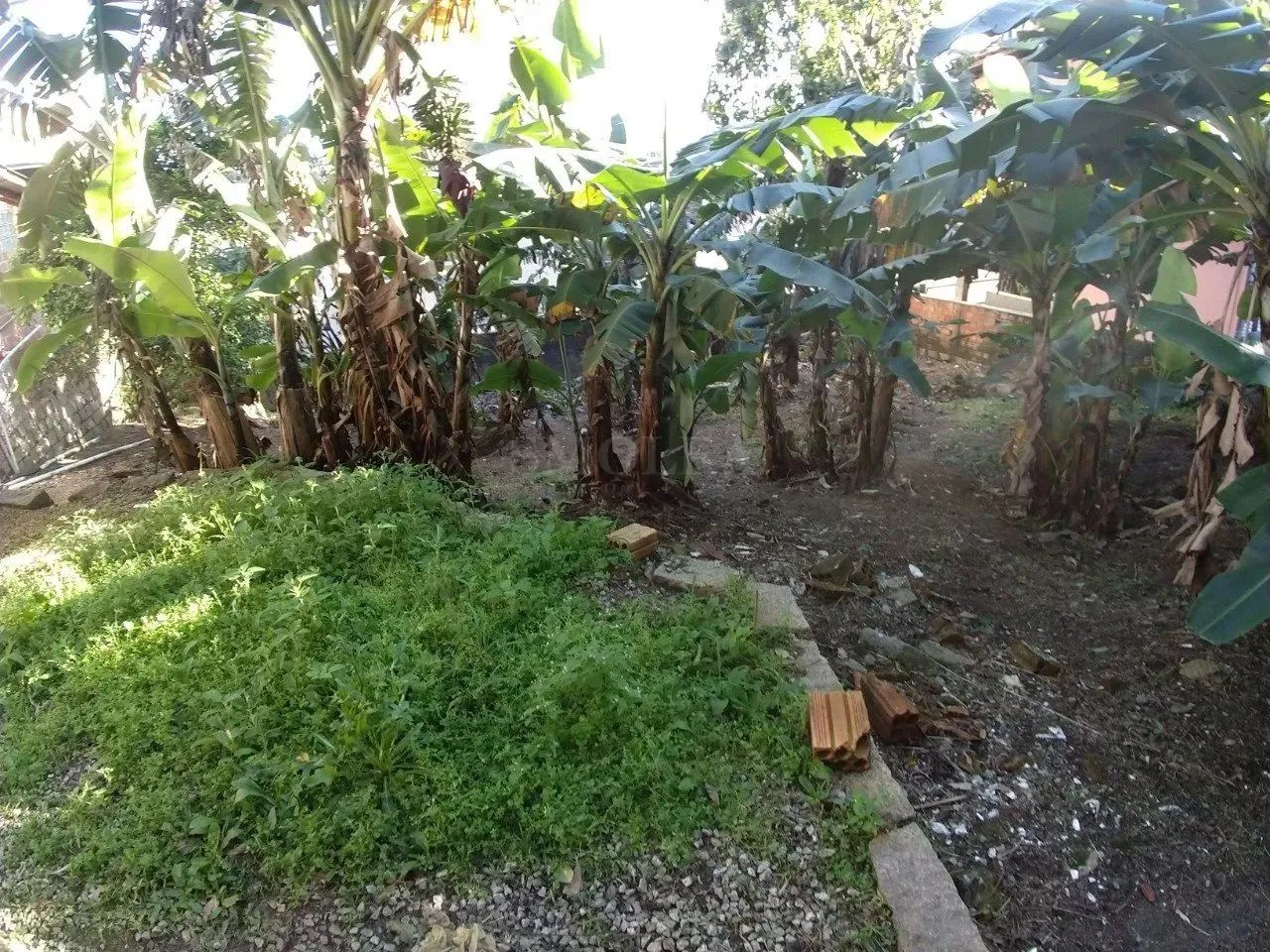 Terreno para investimento no Saco Grande, Florianópolis - Foto 4