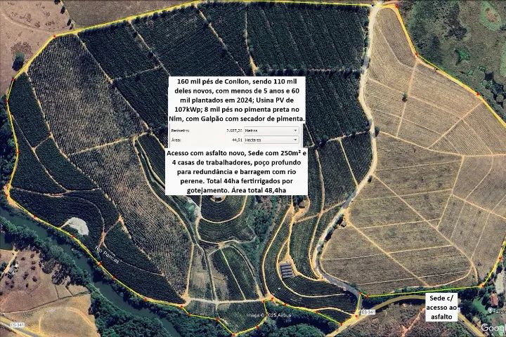 Fazenda de Café 220 Mil Pés - 4500sc de Produtividade