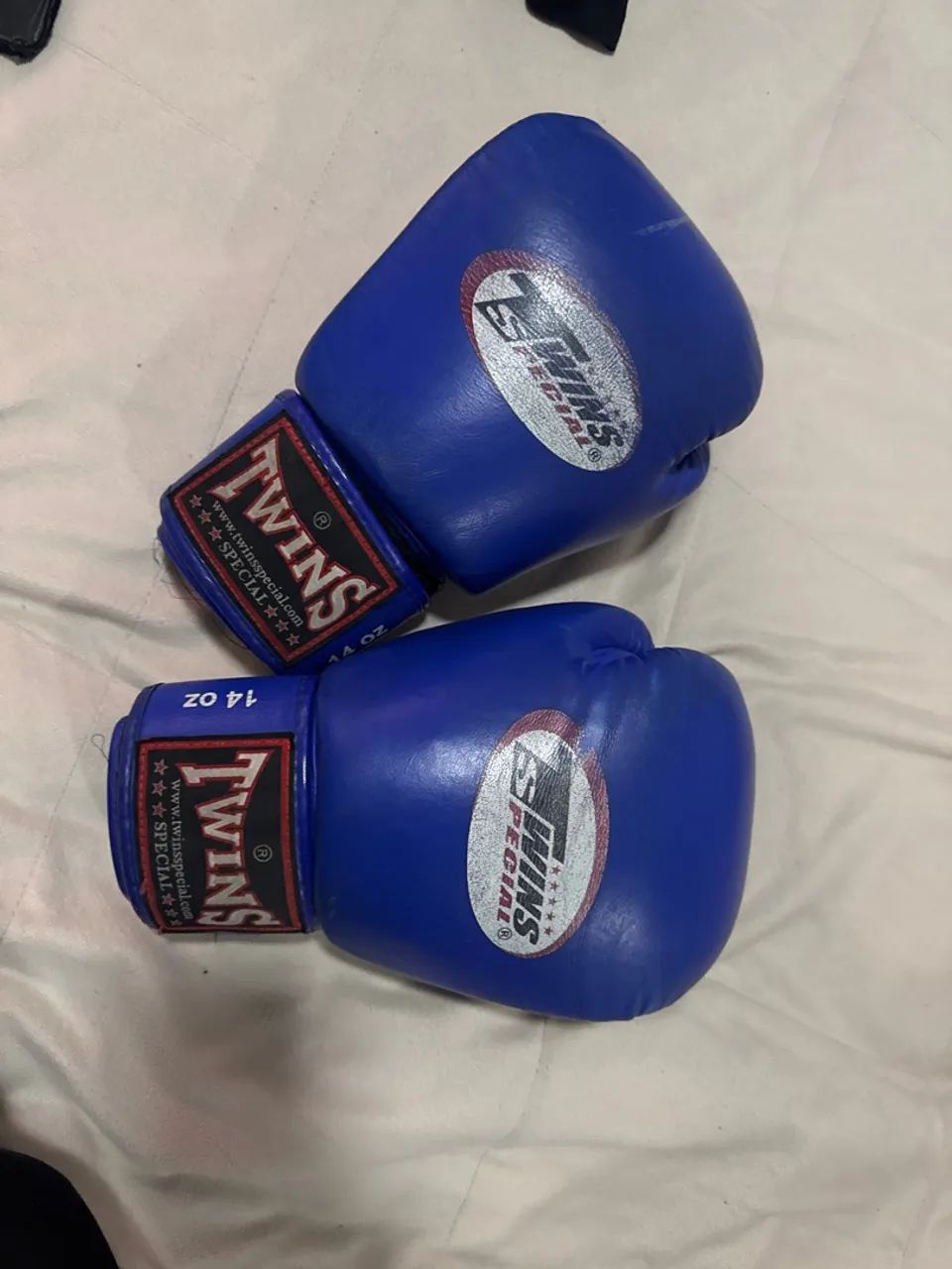 Luvas de Boxe Twins 14oz - Azul