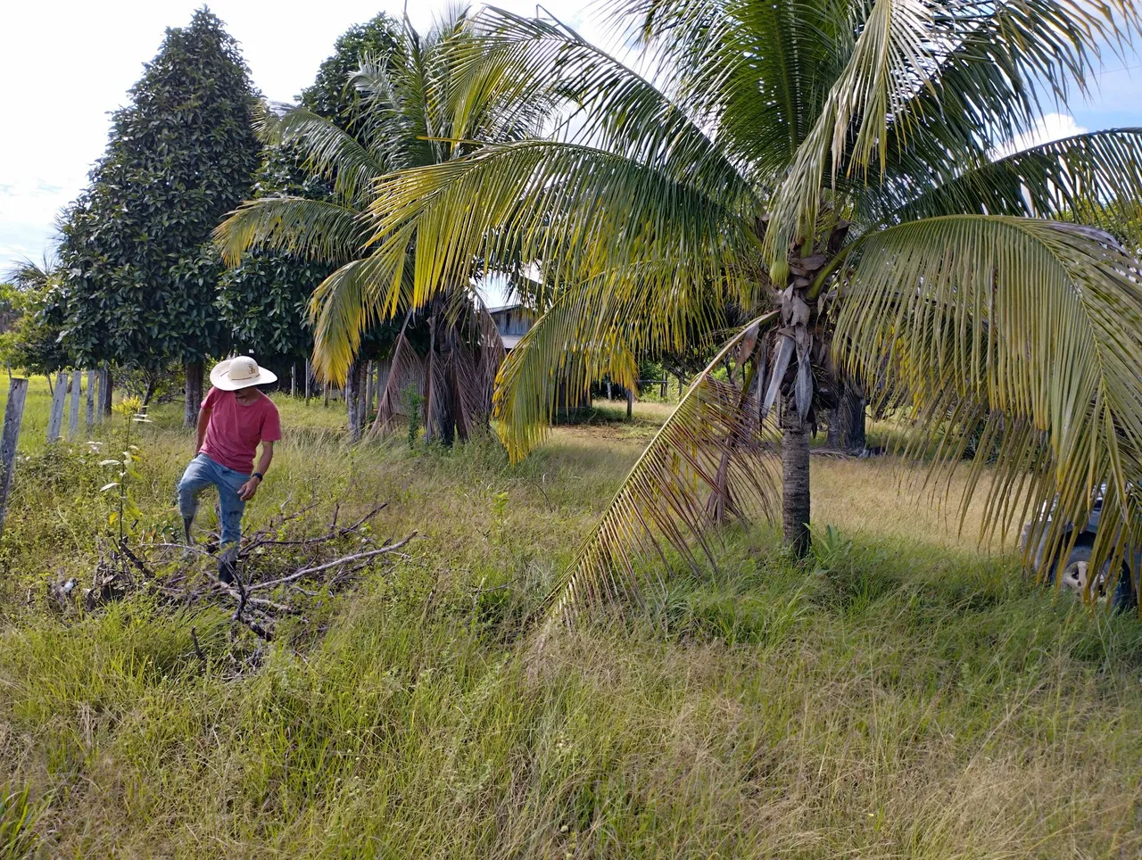 Sítio 60 hectares