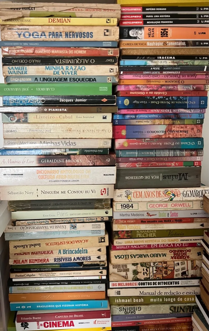 Livros diversos - Literatura e outros temas