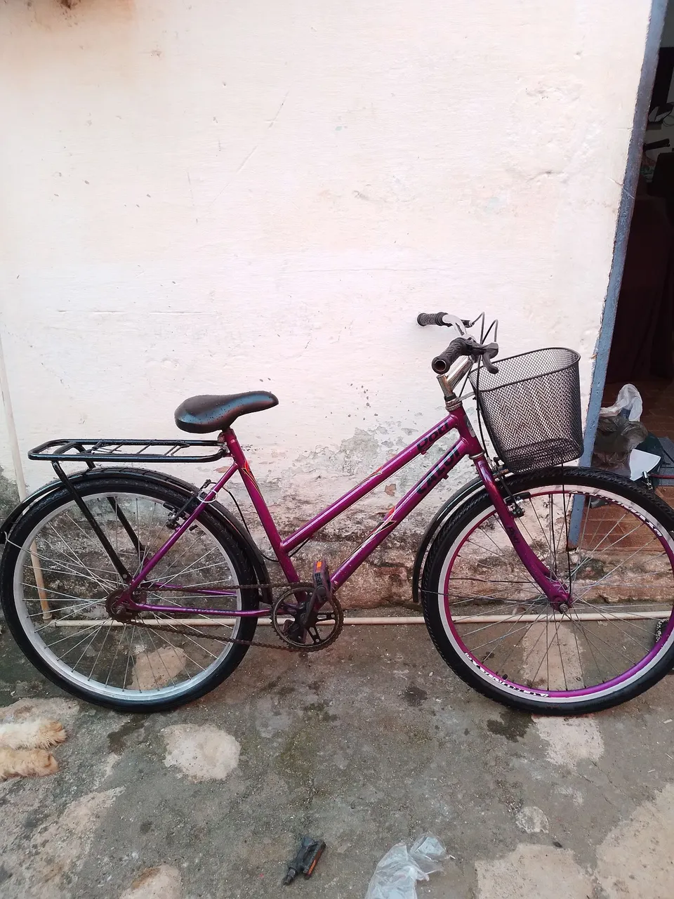 Bicicleta Poti Adulto  / Aro 26
