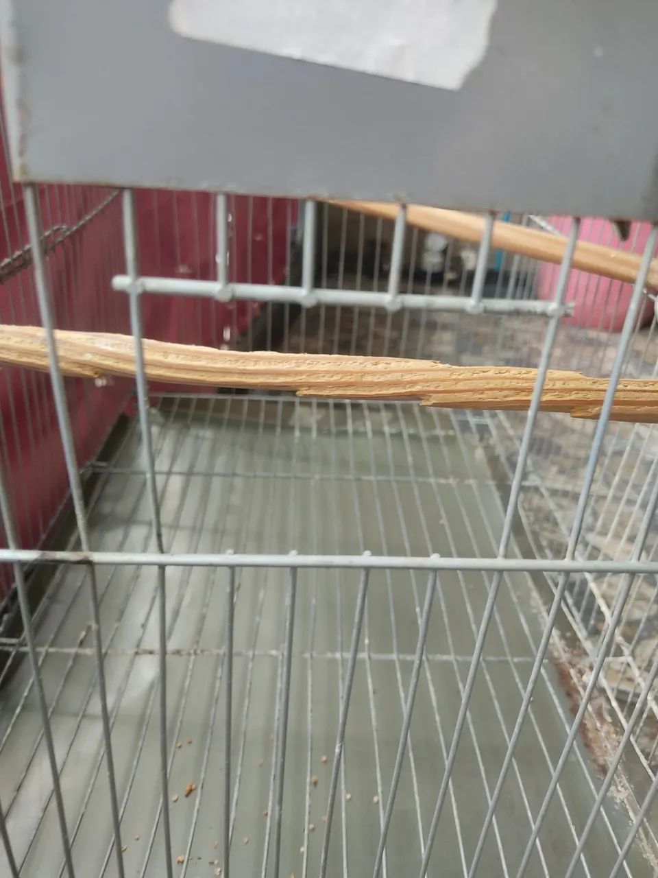 Gaiola para passarinhos  - Foto 5