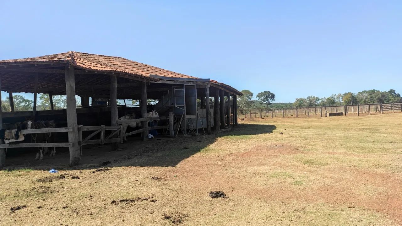 14.000 Hec em Cocalinho MT - Foto 5