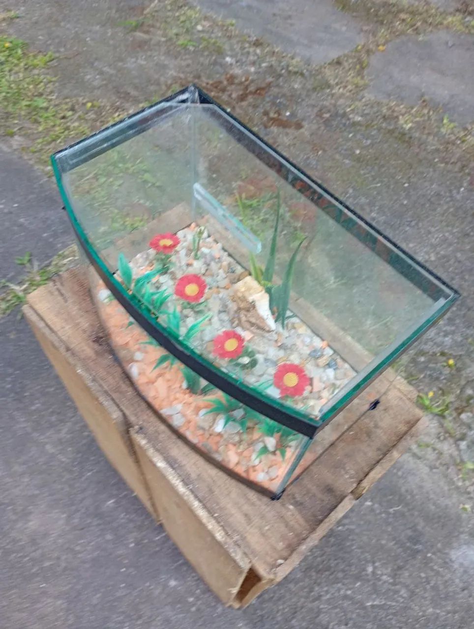 Aquario.25x18x15 - Foto 2