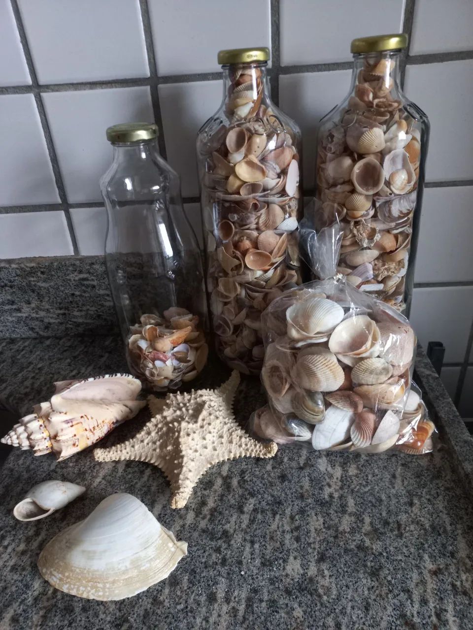 Enfeites para aquário 