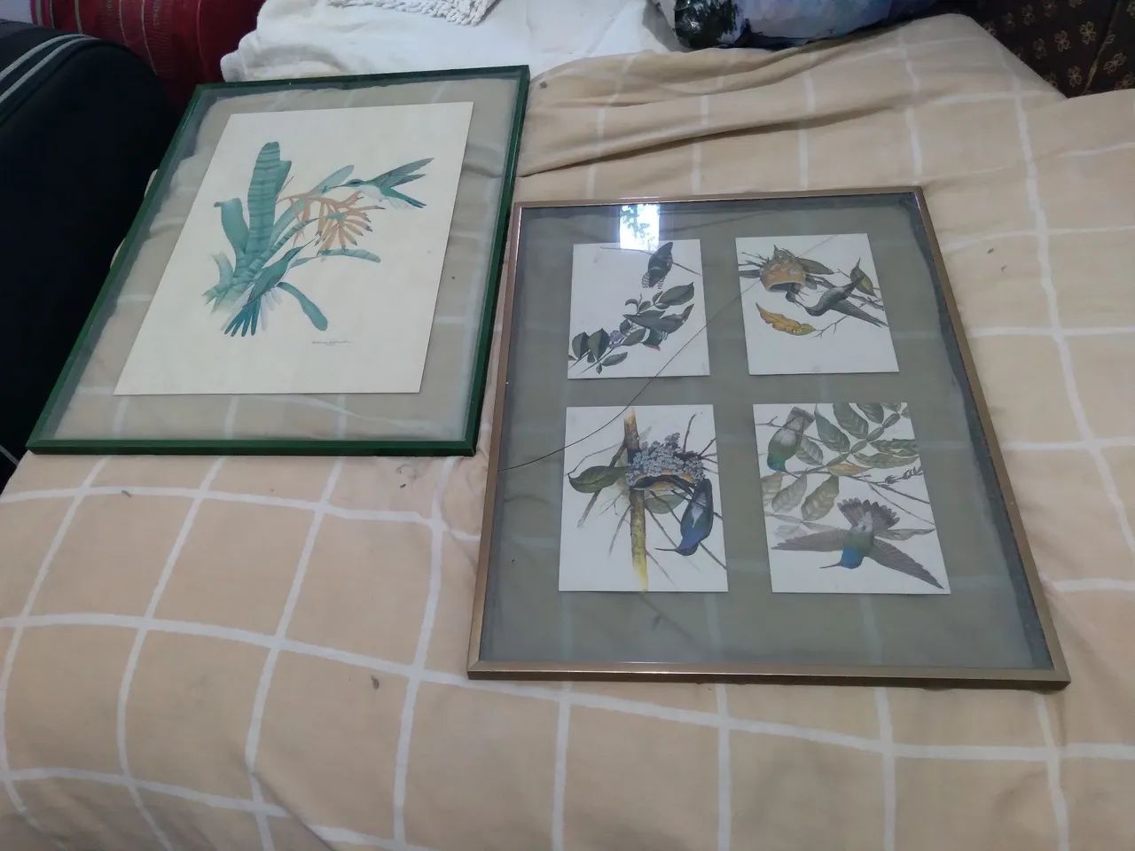 Pintura de pássaros etienne demont e postais  - Foto 4