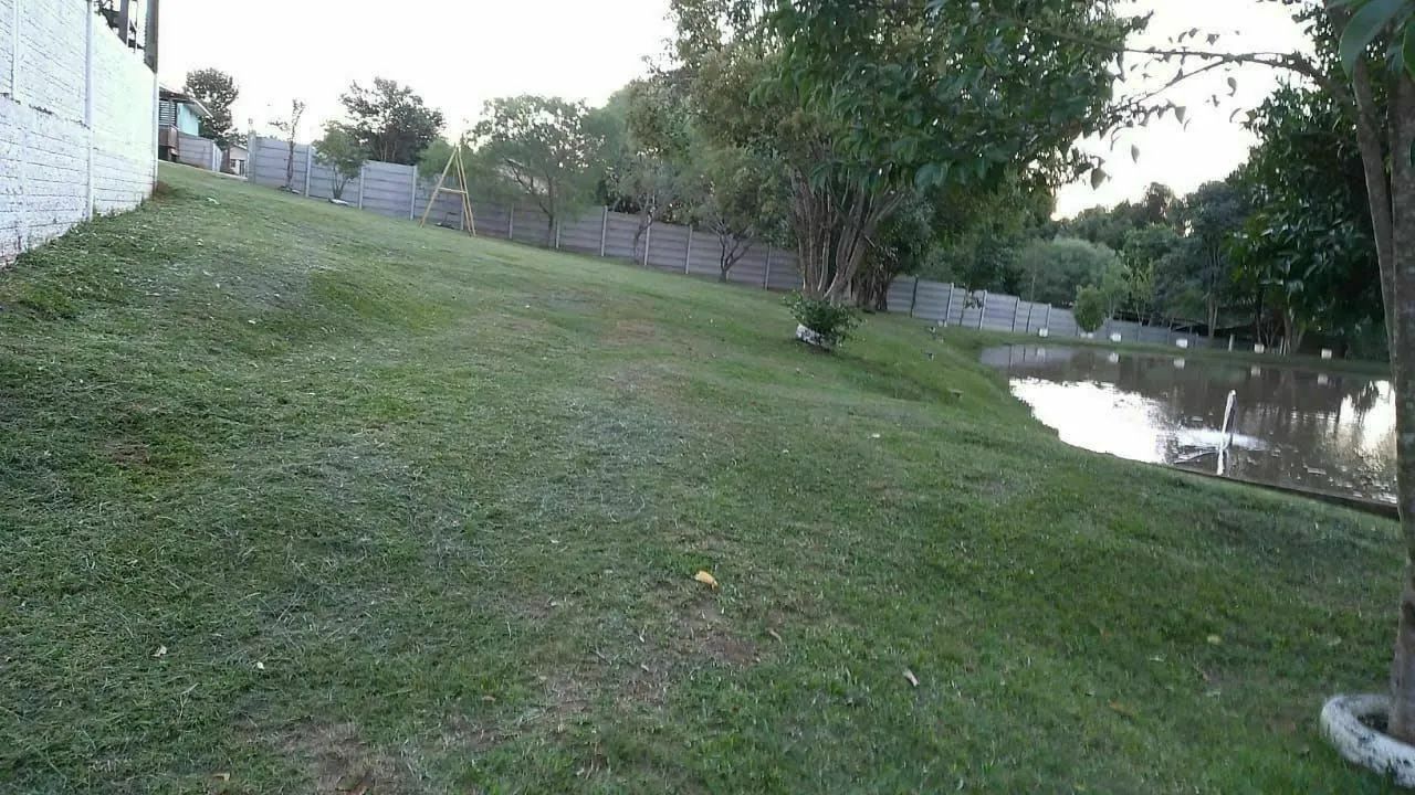 Jardinagem  - Foto 5