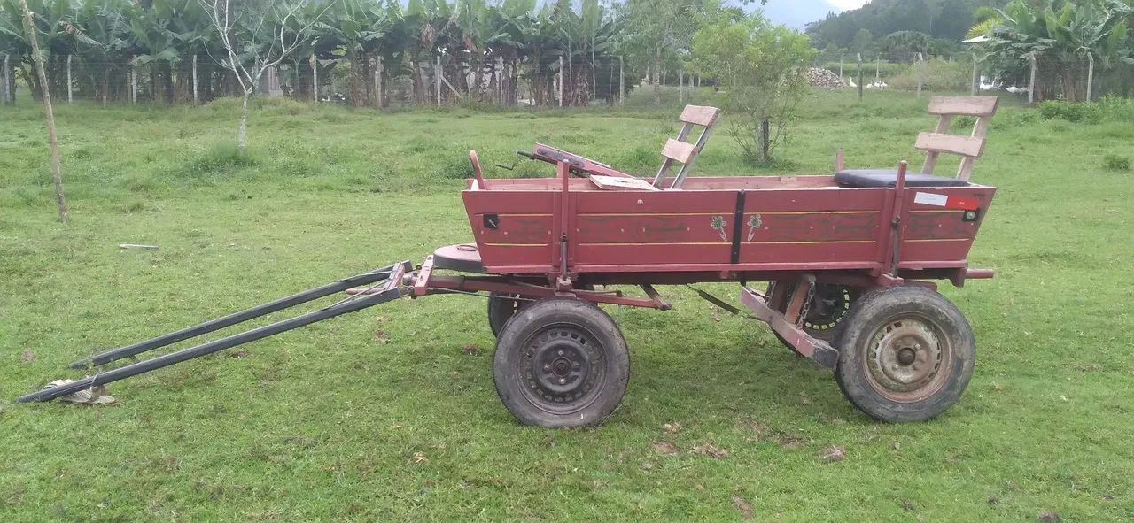 Carroça e corriama  - Foto 3