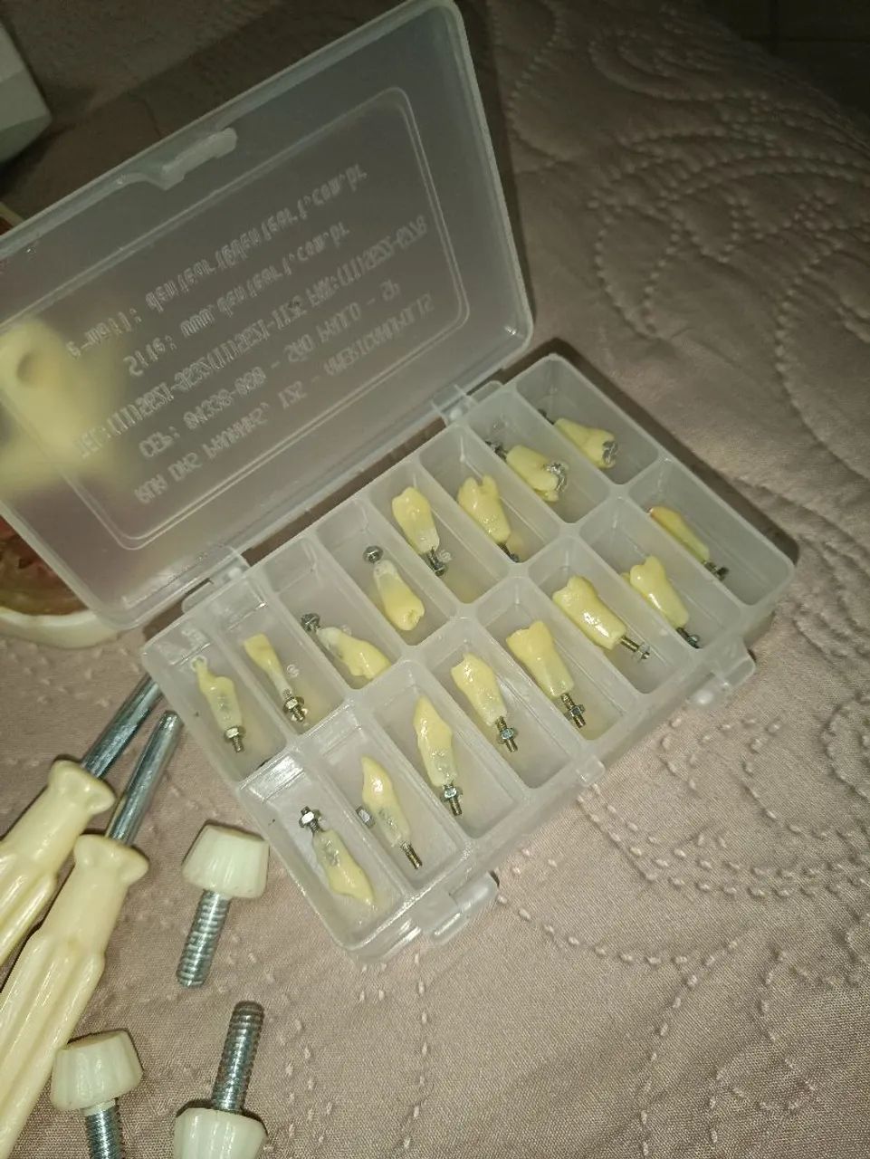 Manequins odontológicos DentArt - Perio, Endo e Dentística/fixa + kit dentes DentArt - Foto 4