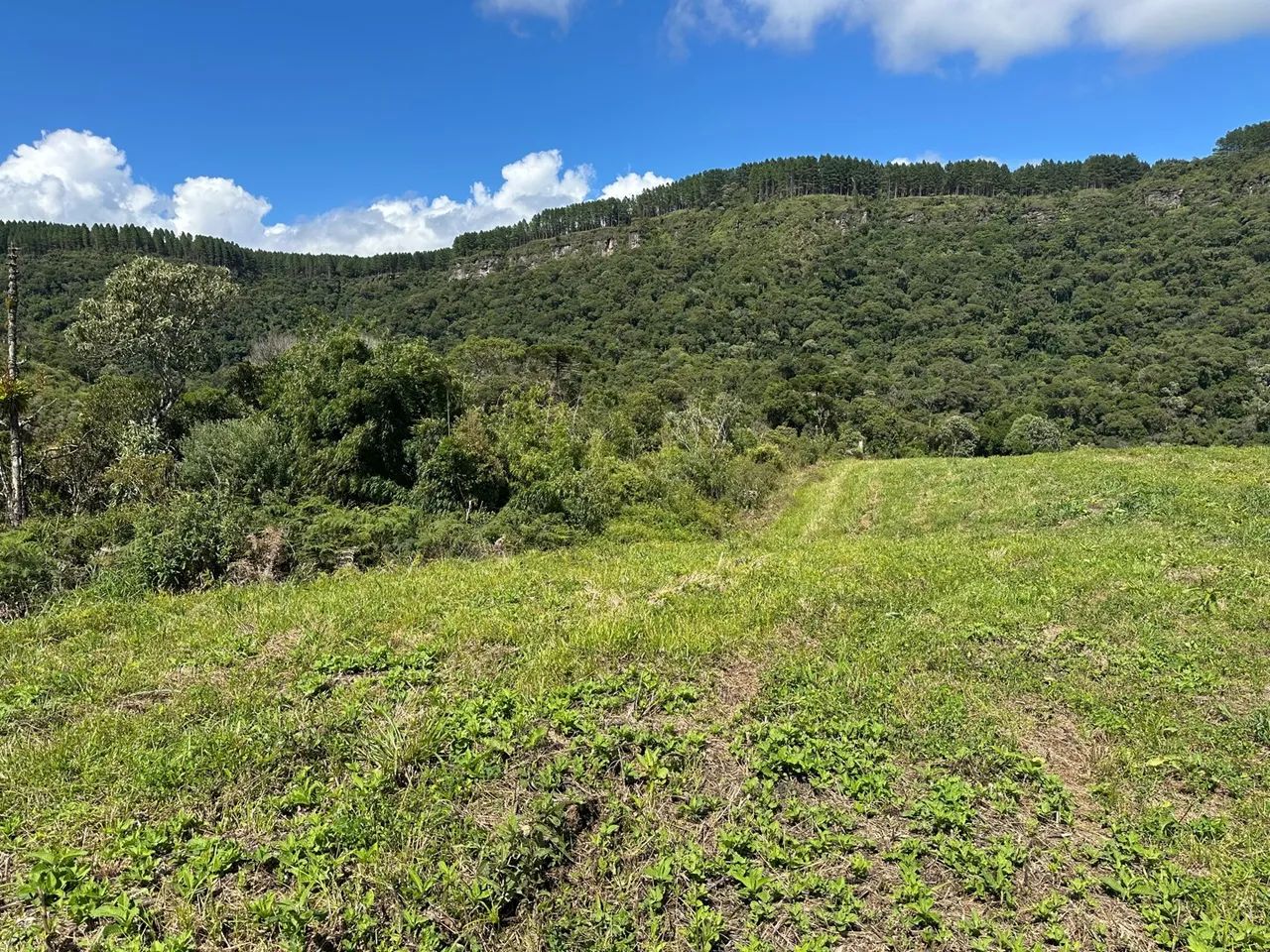 Vende sítio  - Foto 12