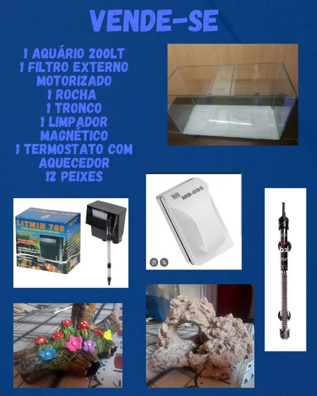 Aquário completo 200L com acessórios e peixes