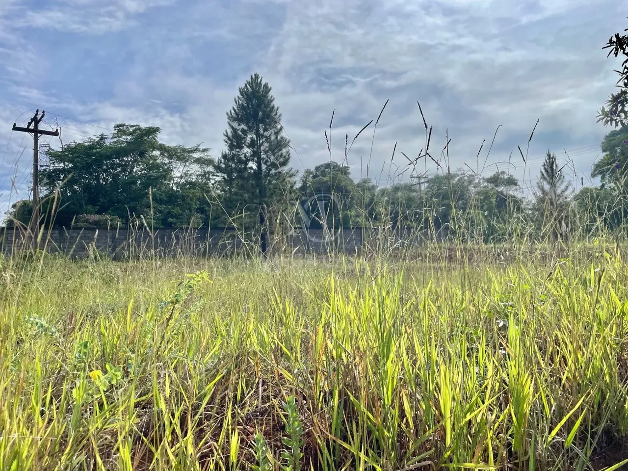 terreno - São Pedro - Juiz de Fora