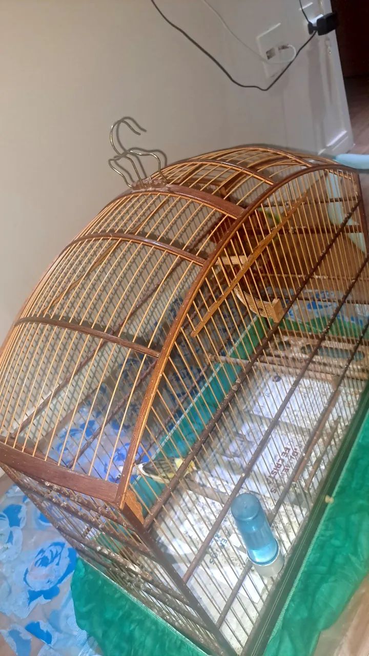 Gaiola abaulada N9 em fibra malha fina para curió bicudo azulão canário coleiro. - Foto 2