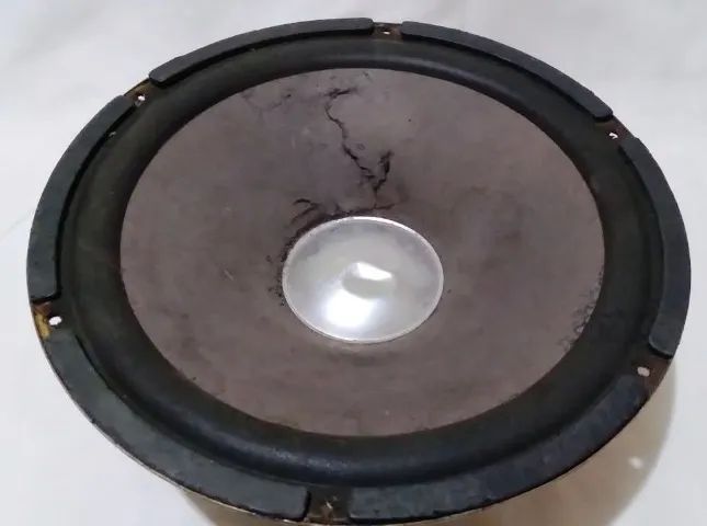 Alto-falante Novik 12 polegadas subwoofer wnx-a 150 watts