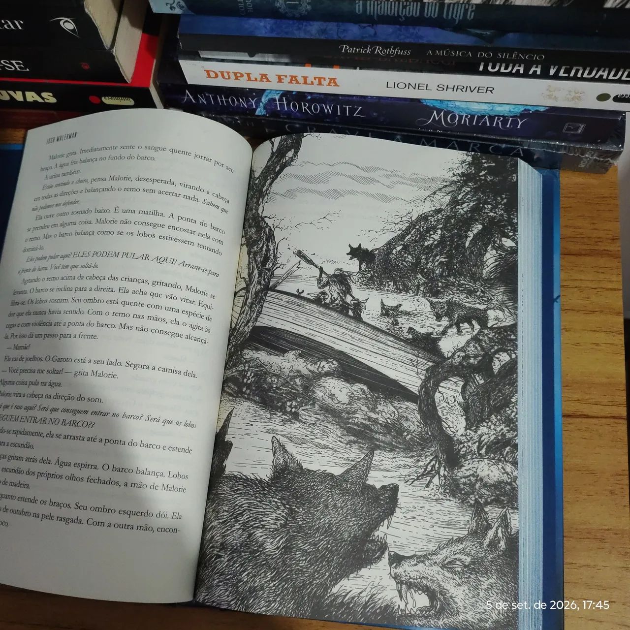 Caixa de Pássaros - Josh Malerman - Foto 5