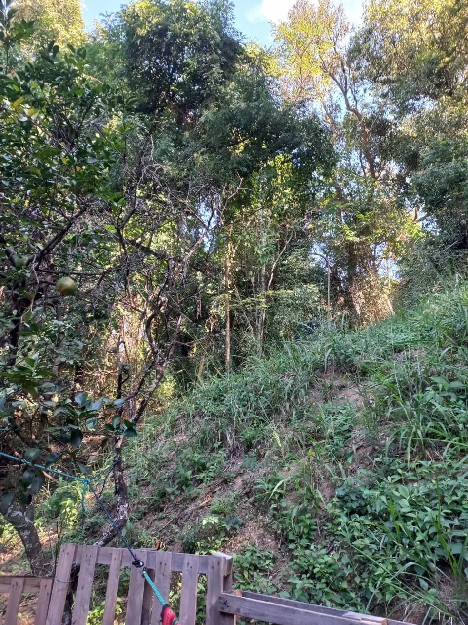 chácara - Vale Verde - Valinhos - Foto 3