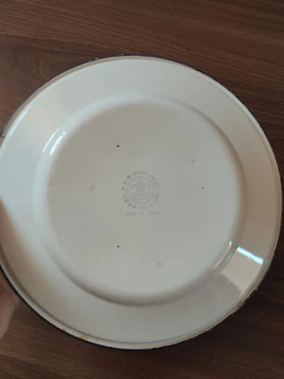 Prato esmaltado de coleção chinesa - Foto 2