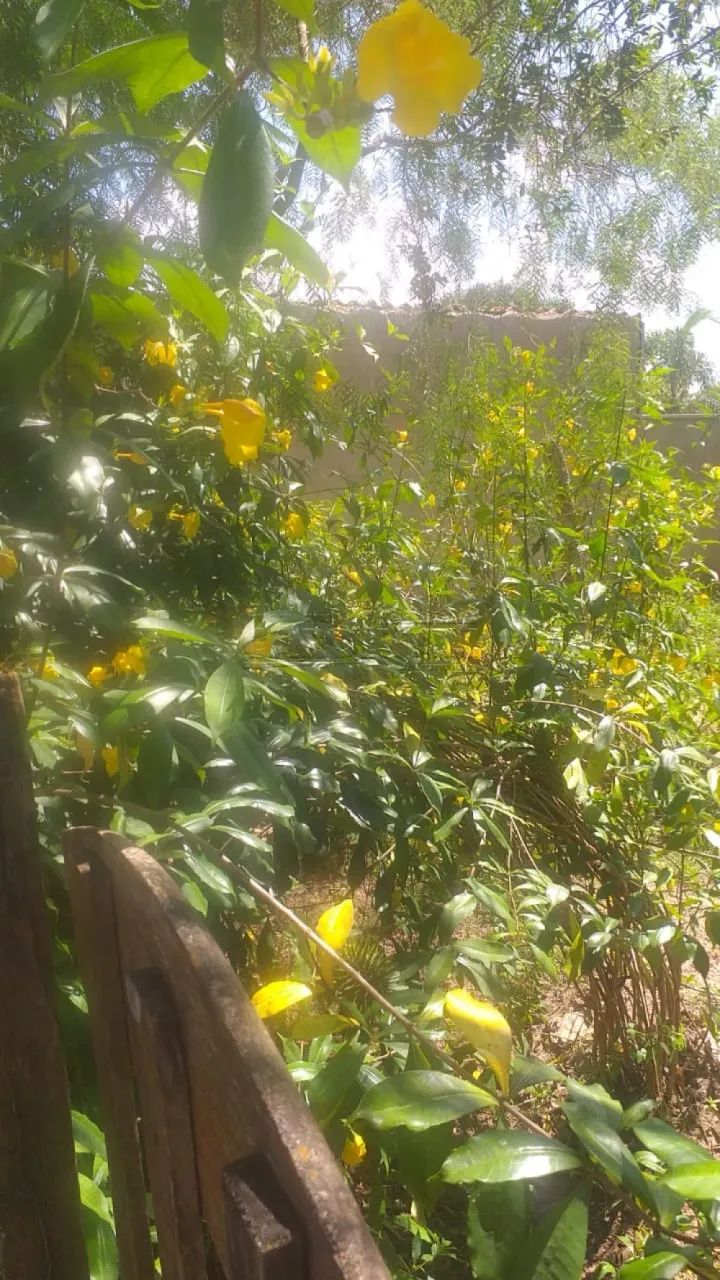 Rural Chácara em Brotas - Foto 5