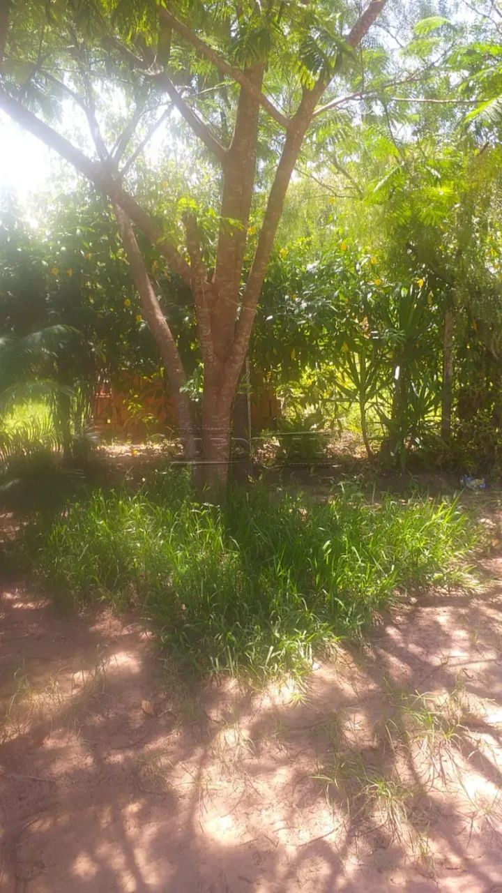 Rural Chácara em Brotas - Foto 3
