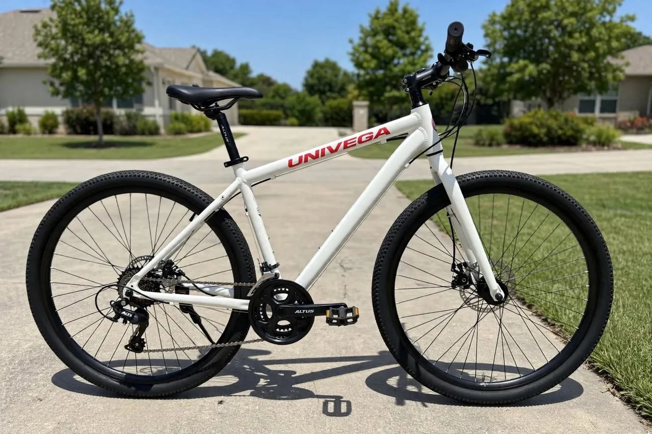 Bibicleta 