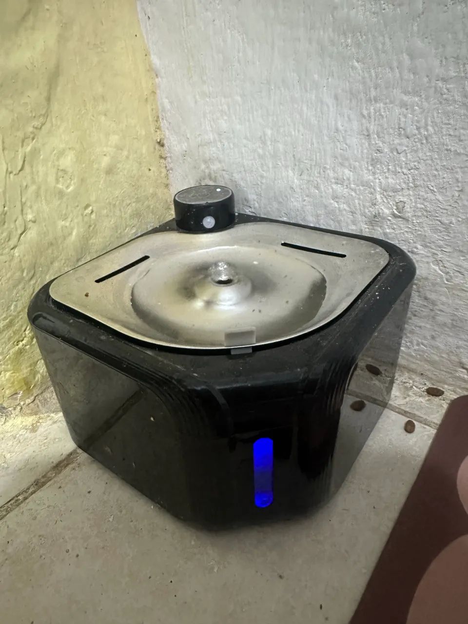 Bebedouro para gatos 