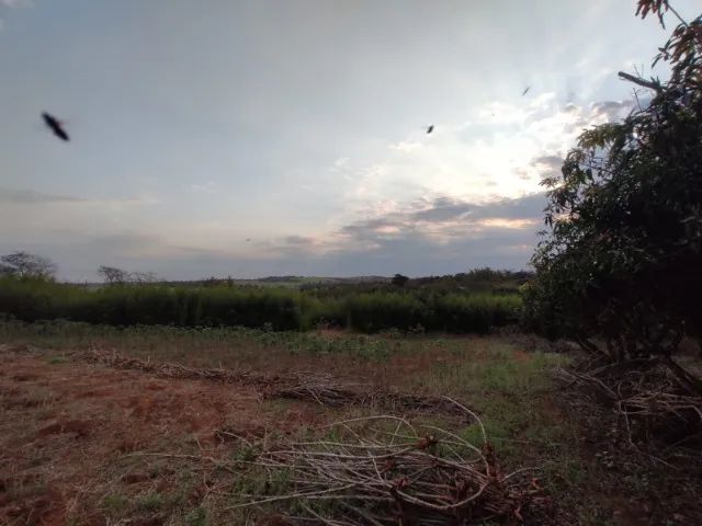 VENDE-SE SÍTIO EM BERNARDINO DE CAMPOS/SP - Foto 3