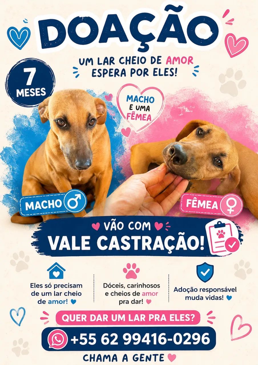 Doção 